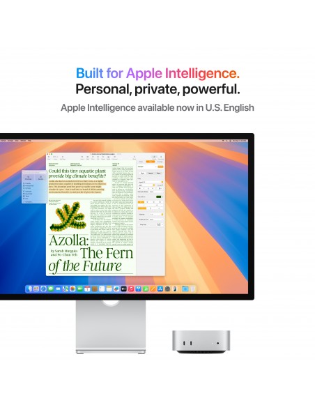 Apple Mac mini M4 chip 10-core CPU 10-Core GPU 16GB SSD 512GB