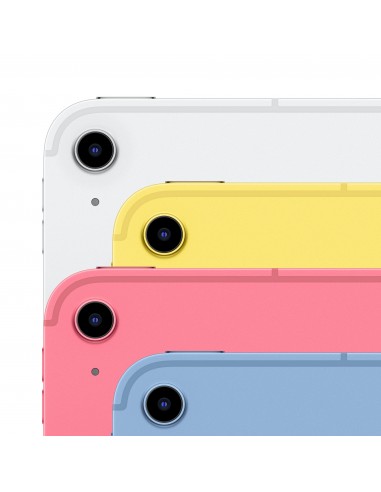 iPad 10th Gen Wi-Fi + Cellular 64Go A2757 rose