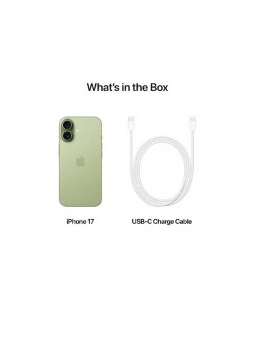 iPhone 17 256 Go vert prix Tunisie