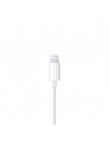 Apple EarPods with Lightning Connector (A1748)
