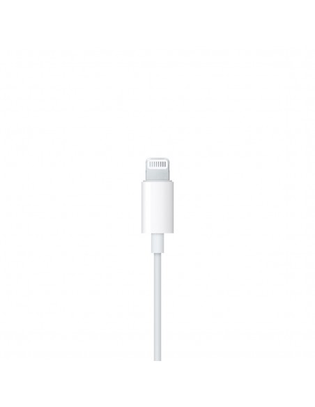 Apple EarPods with Lightning Connector (A1748)