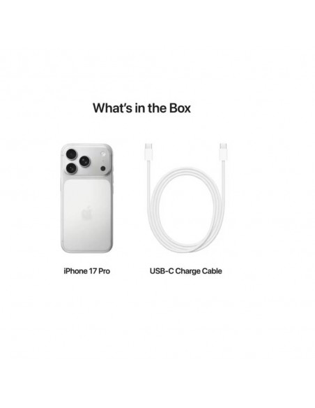 iPhone 17 Pro 256 Go Silver