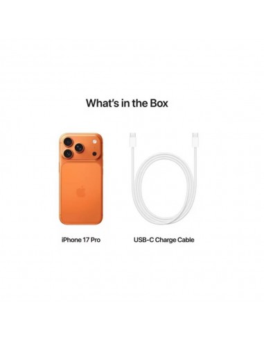 iPhone 17 Pro Max 256 Go orangé