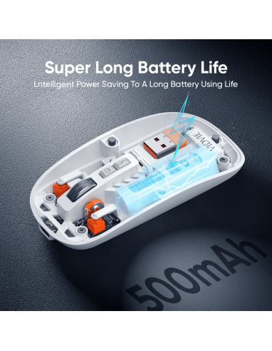 Souris Bluetooth Vidvie KB07