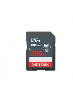Carte Mémoire 256 Go SanDisk Ultra Class 10