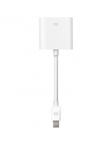 Apple Mini DisplayPort vers DVI Adapter (A1305)