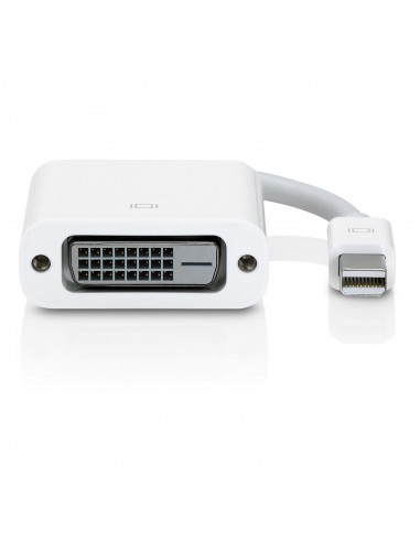 Apple Mini DisplayPort vers DVI Adapter (A1305)