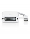 Apple Mini DisplayPort vers DVI Adapter (A1305)