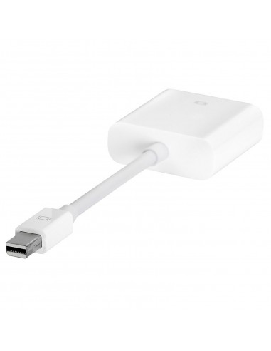 Apple Mini DisplayPort vers DVI Adapter (A1305)
