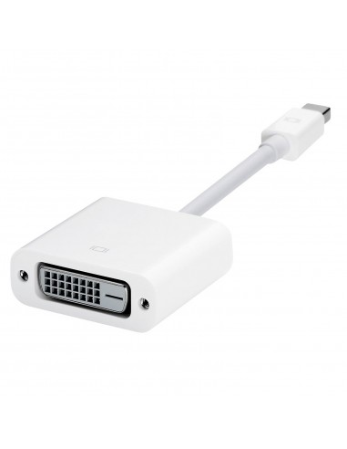 Apple Mini DisplayPort vers DVI Adapter (A1305)