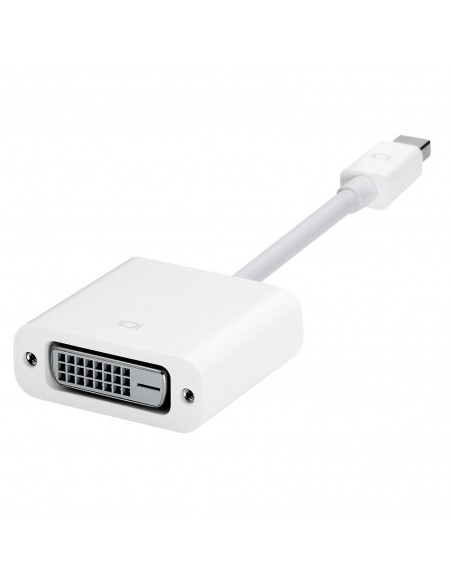 Apple Mini DisplayPort vers DVI Adapter (A1305)