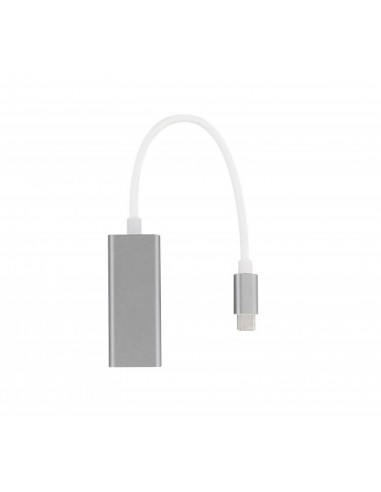 Adaptateur USB-C vers USB (MJ1M2ZM/A)