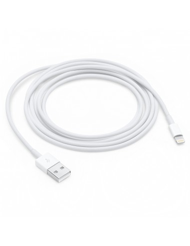 Lightning to USB Cable (1 m)    A1480