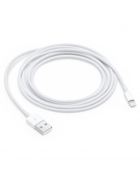 Lightning to USB Cable (1 m)    A1480