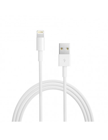 Lightning to USB Cable (1 m)    A1480