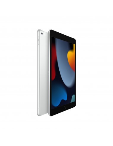 iPad 10.2" Wi-Fi + Cellulaire 9ème génération 256Go - Silver