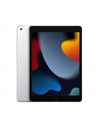 iPad 10.2" Wi-Fi + Cellulaire 9ème génération 256Go - Silver