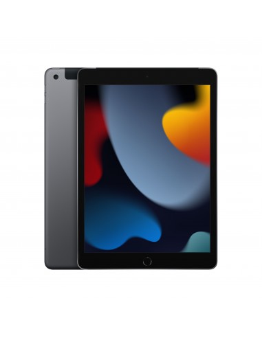 iPad 10.2" Wi-Fi + Cellulaire 9ème génération 256Go - Space Grey