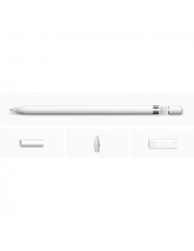 Apple Pencil 2022 (1st Génération)