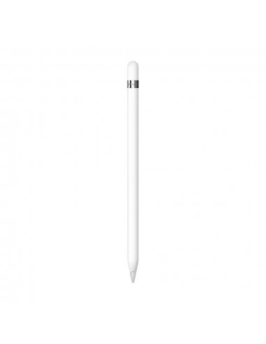 Apple Pencil (1ère Génération) USB-C