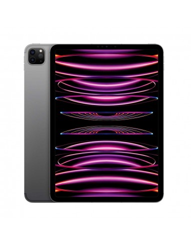 iPad Pro 11" Wi-Fi + Cellulaire 4ème gén. 128Go - Space Grey