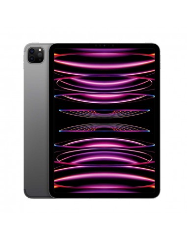 iPad Pro 11" Wi-Fi + Cellulaire 4ème gén. 256Go - Space Grey