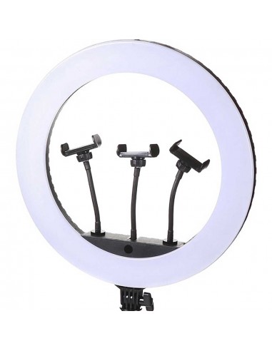 Selfie Ring Light Professionnel FM-21R 21"