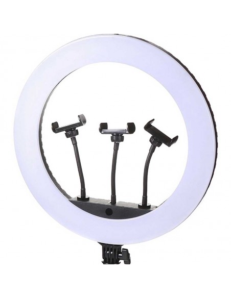 Selfie Ring Light Professionnel FM-21R 21"