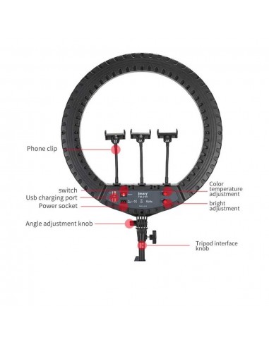 Selfie Ring Light Professionnel FM-21R 21"