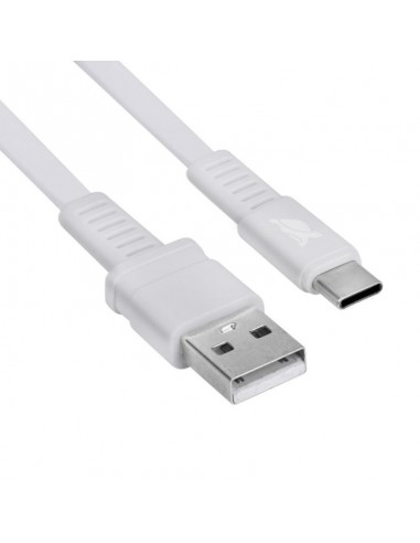 Câble Type-C vers Type-C RIVACASE 1.2M - Blanc...