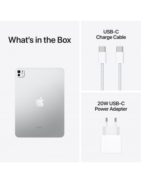 iPad Pro 11" M4 WiFi Cellular 1TB with Standard glass Silver