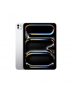 iPad Pro 11" M4 WiFi Cellular 1TB with Standard glass Silver