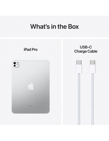 iPad Pro 11" M4 WiFi+Cellular 256GB with...