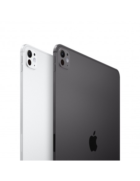 iPad Pro 11" M4 WiFi+Cellular 256GB with standard glass-Silver
