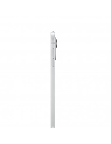 iPad Pro 11" M4 WiFi+Cellular 256GB with...