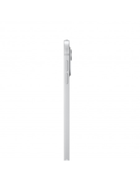iPad Pro 11" M4 WiFi+Cellular 256GB with standard glass-Silver