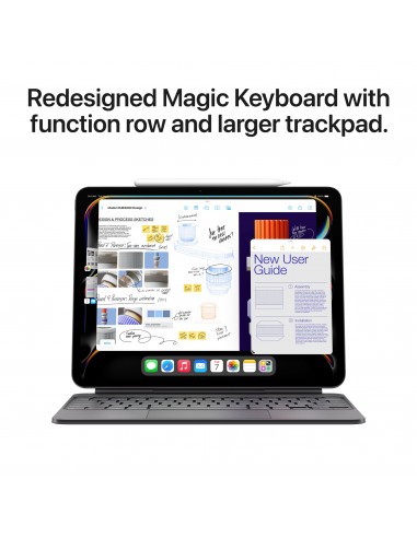 iPad Pro 11" M4 Wi-Fi + Cellular 256Go Standard...