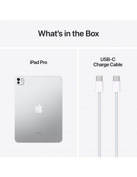 iPad Pro 11" M4 WiFi 256GB with Standard glass -Silver