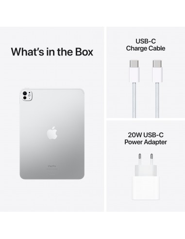 iPad Pro 11" M4 WiFi 256GB with Standard glass...