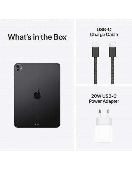 iPad Pro 11" M4 WiFi 256GB with standard glass - Space Black