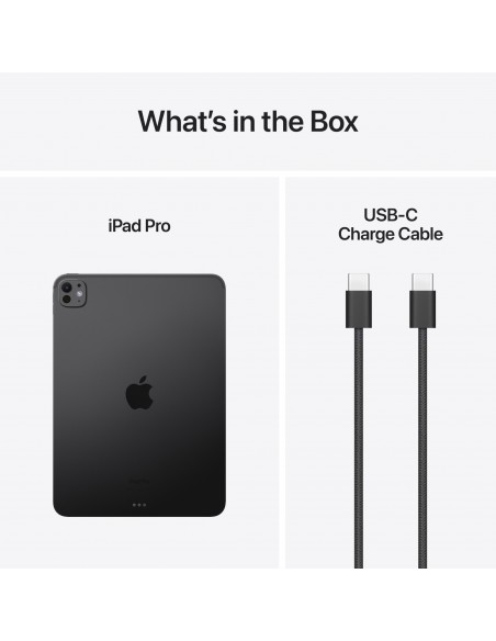 iPad Pro 11" M4 WiFi 256GB with standard glass - Space Black