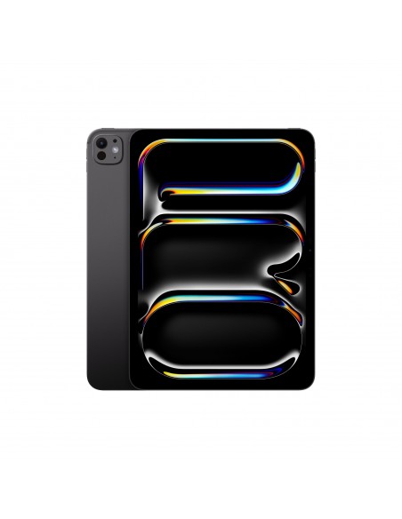 iPad Pro 11" M4 WiFi 256GB with standard glass - Space Black