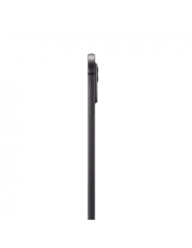 iPad Pro 13" M4 Wi-Fi  256Go Standard glass -...