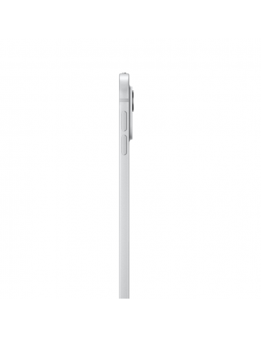 iPad Pro 13" M4 WiFi 256GB with standard glass-...