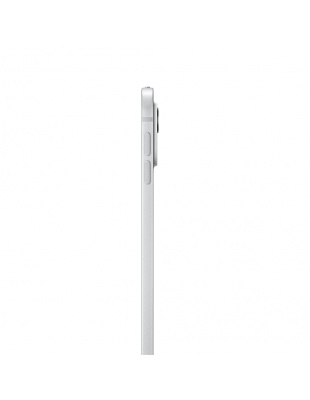 iPad Pro 13" M4 WiFi 256GB with standard glass- Silver