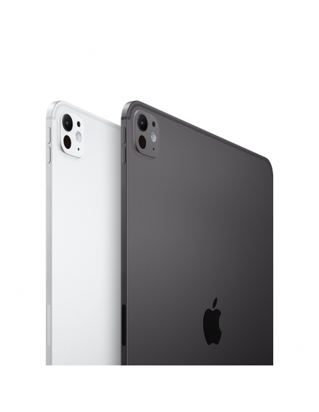 iPad Pro 13" M4 WiFi 256GB with standard glass- Silver