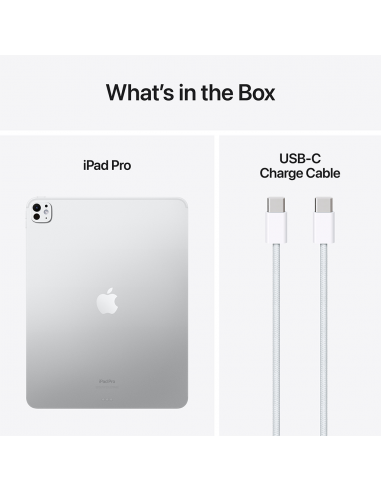 iPad Pro 13" M4 WiFi 256GB with standard glass-...
