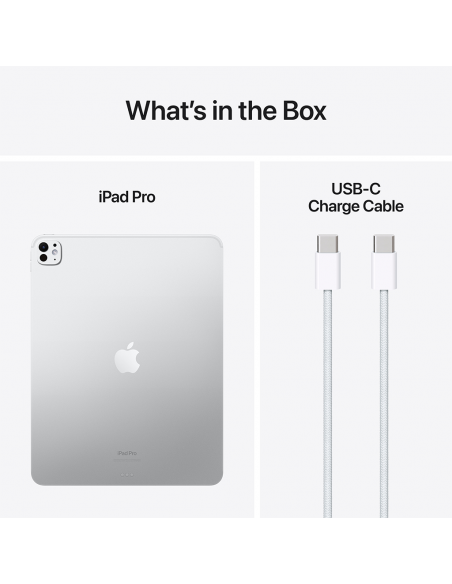iPad Pro 13" M4 WiFi 256GB with standard glass- Silver