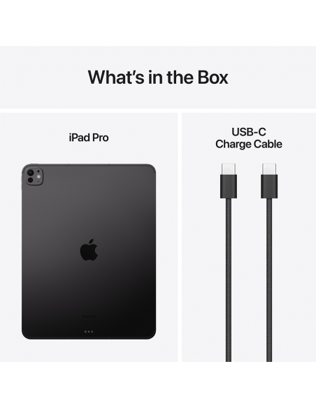 iPad Pro 13" M4 Wi-Fi + Cellular 256Go Standard glass - Space Black