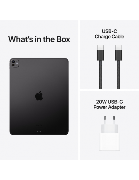 iPad Pro 13" M4 Wi-Fi + Cellular 256Go Standard glass - Space Black